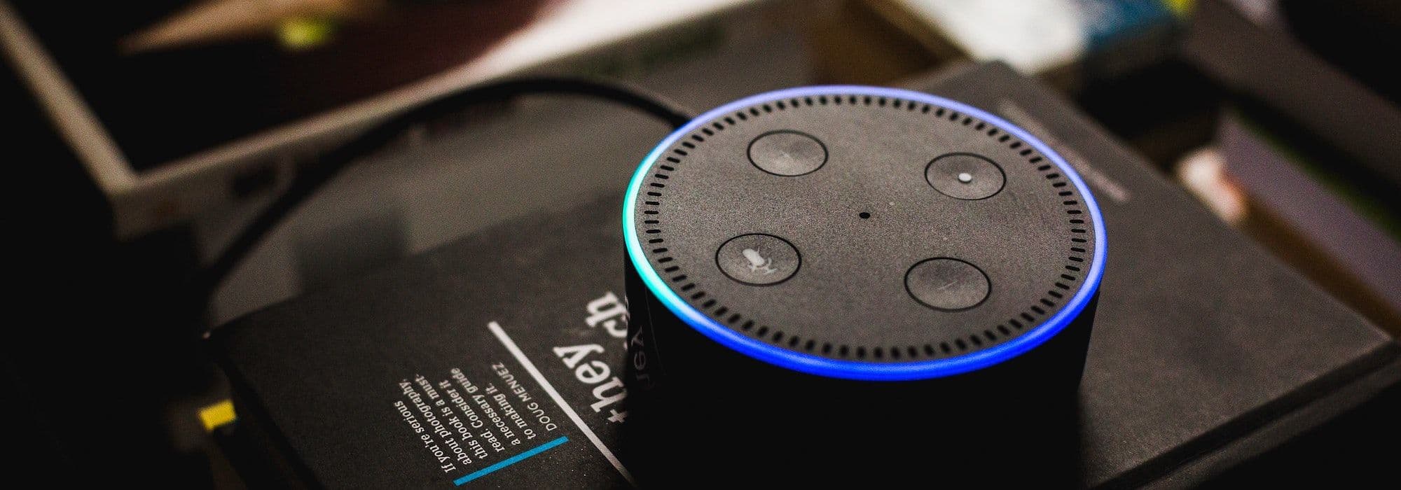 The nuclear winter of voice technology