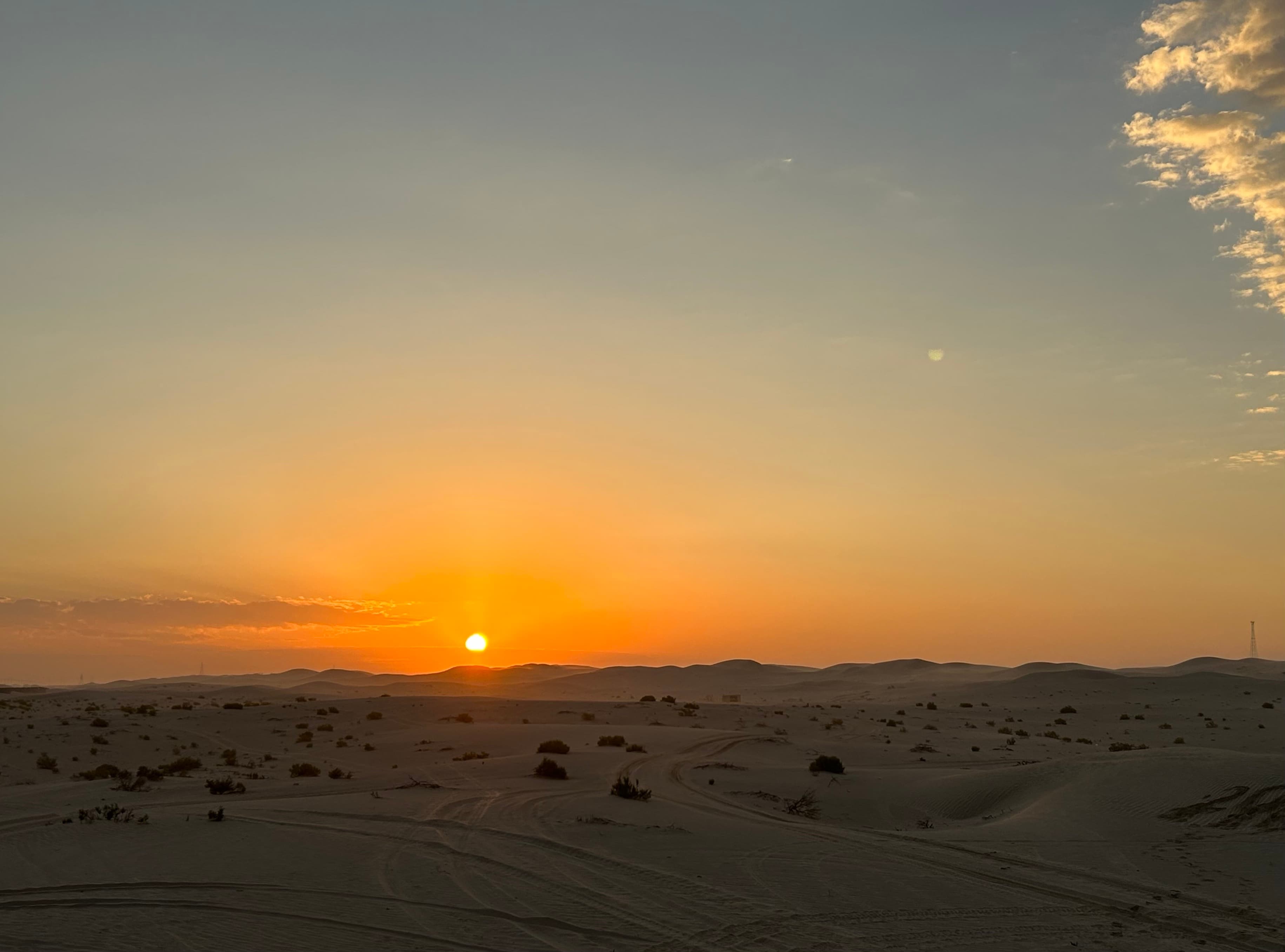 End of year 1 living in Abu Dhabi, UAE